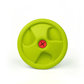 Harley Flyer Frisbee