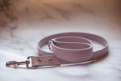 Biothane Leash (Color: Lavender, size: 5 Feet)