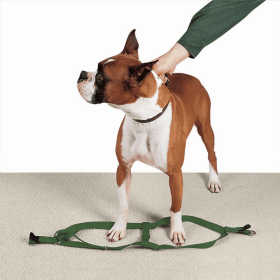 CC Nylon 2 Step Harness (Color: Dark Green, size: 9-15in)